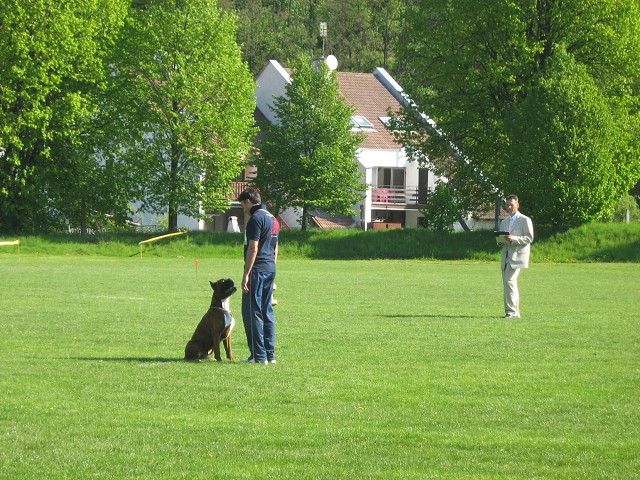 www.atibox.net * www.euroboxer.eu * www.boxergenealogia.eu